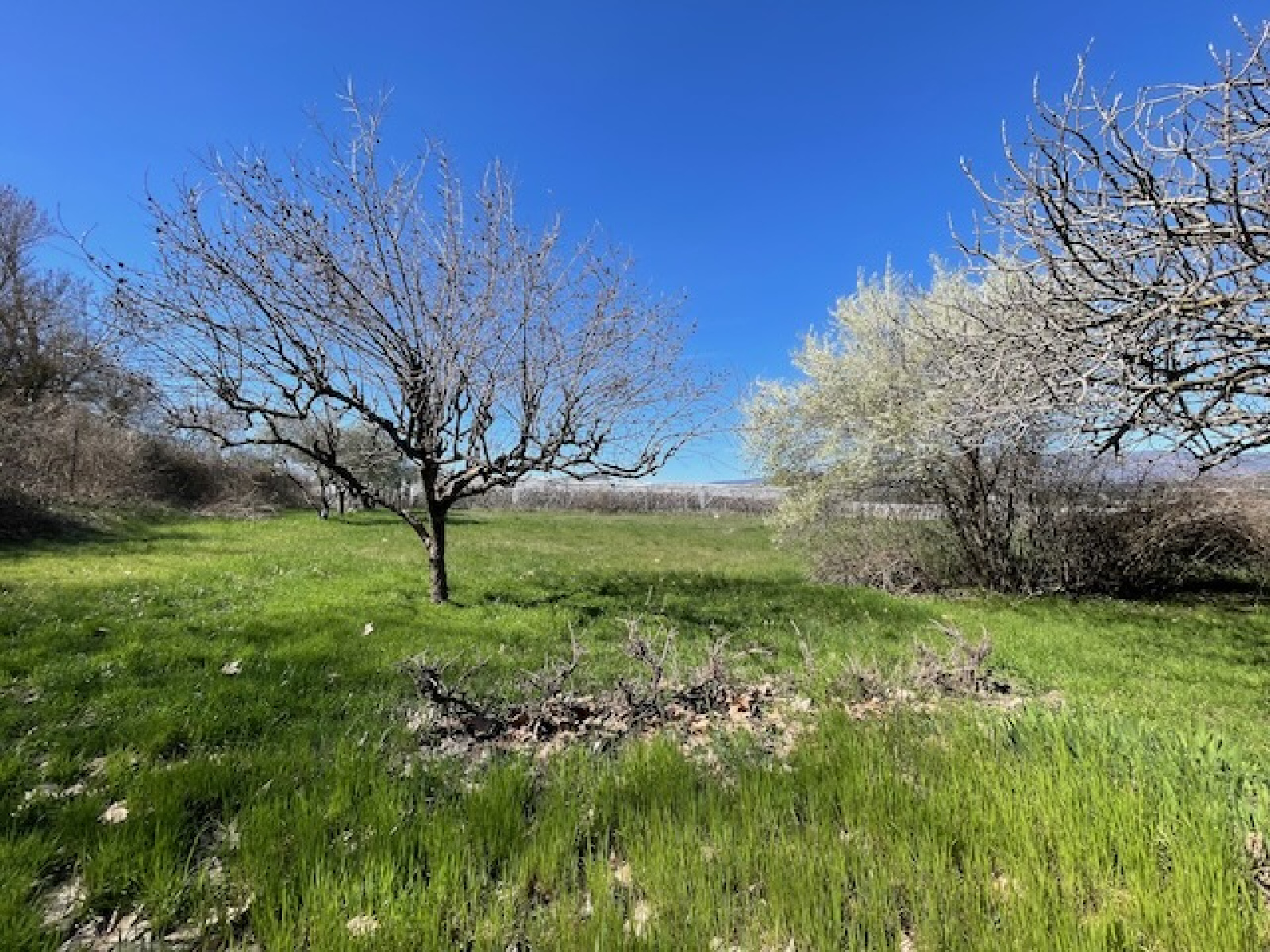 Image_19, Maison, Mées, ref :3215