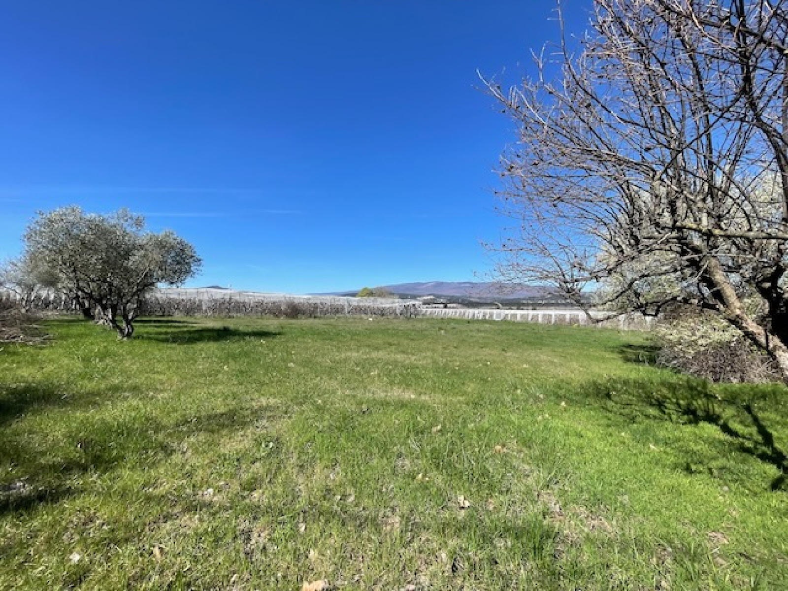 Image_20, Maison, Mées, ref :3215